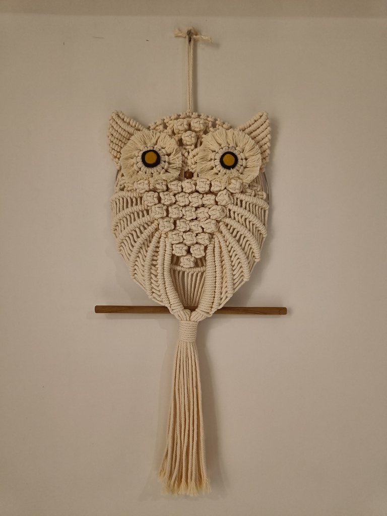 The Wise Owl  Wall Hanger Grey | Natural Handcrafted Boho Macrame | Home Decor