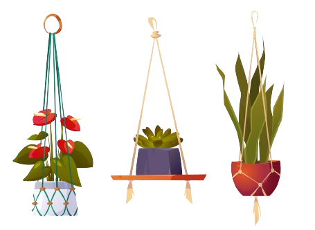 Plant Hangers